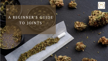 What is a Joint? A Beginner's Guide to Cannabis Most Iconic Form