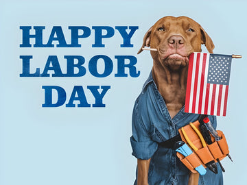 The Changing Face of Labor: Rethinking Work, Wellness, and the Future on Labor Day