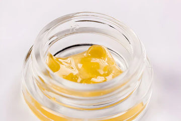 Dab Pen vs Cartridge: Which Concentrate Device is Right for You?