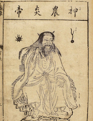 The Fascinating History of Cannabis: From Ancient Cultivation to Currency