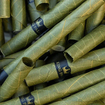 Guide to Wholesale Rolling Papers and Pre-Rolled Cones for Dispensaries and Smoke Shops