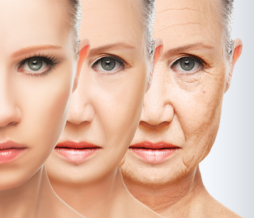 THC and the Aging Process: Exploring the Benefits and Implications