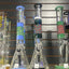 SCI-FI Glass | water pipe Beaker with Dual tone and Wig Wag design | 17" | WP72