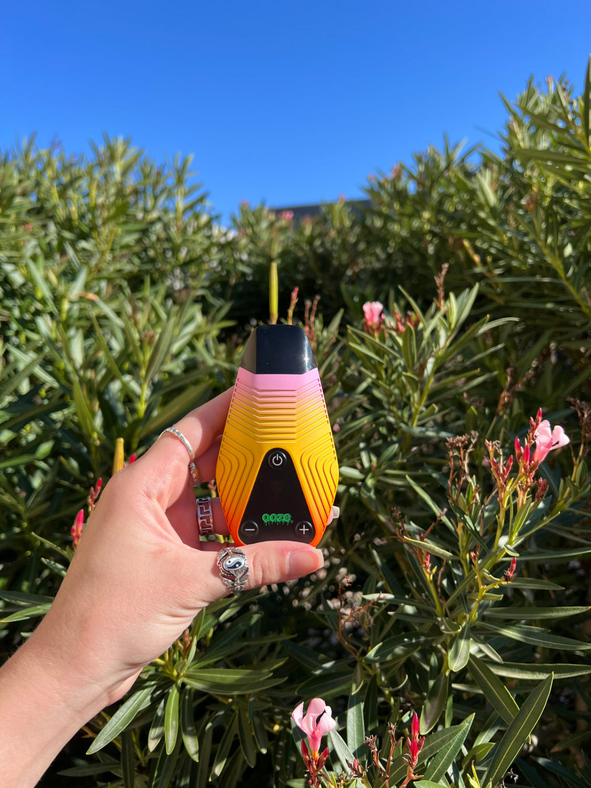Black Ooze Brink Dry Herb Vaporizer