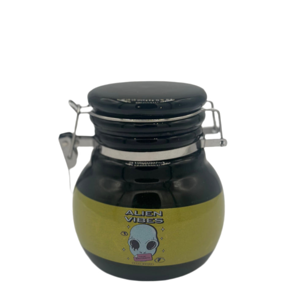 Modern ceramic kitchen jar with silicone seal for freshness