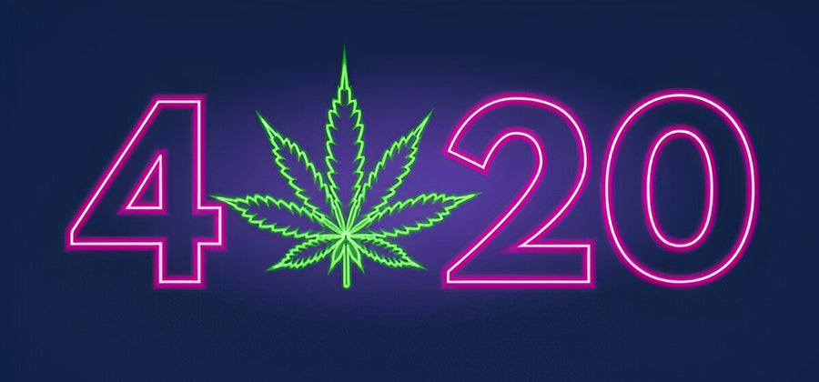 Best 420 weed Accessories for 2025