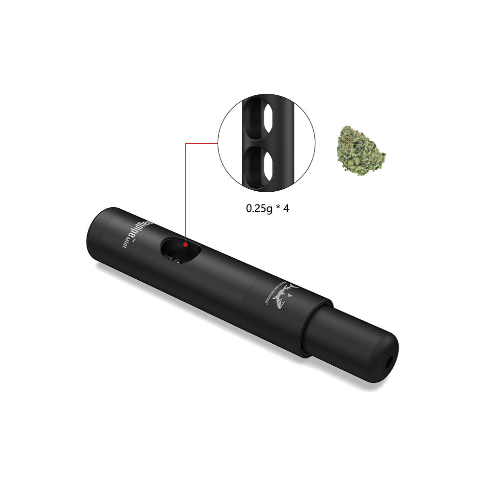 Hamilton device- Daypipe Mini