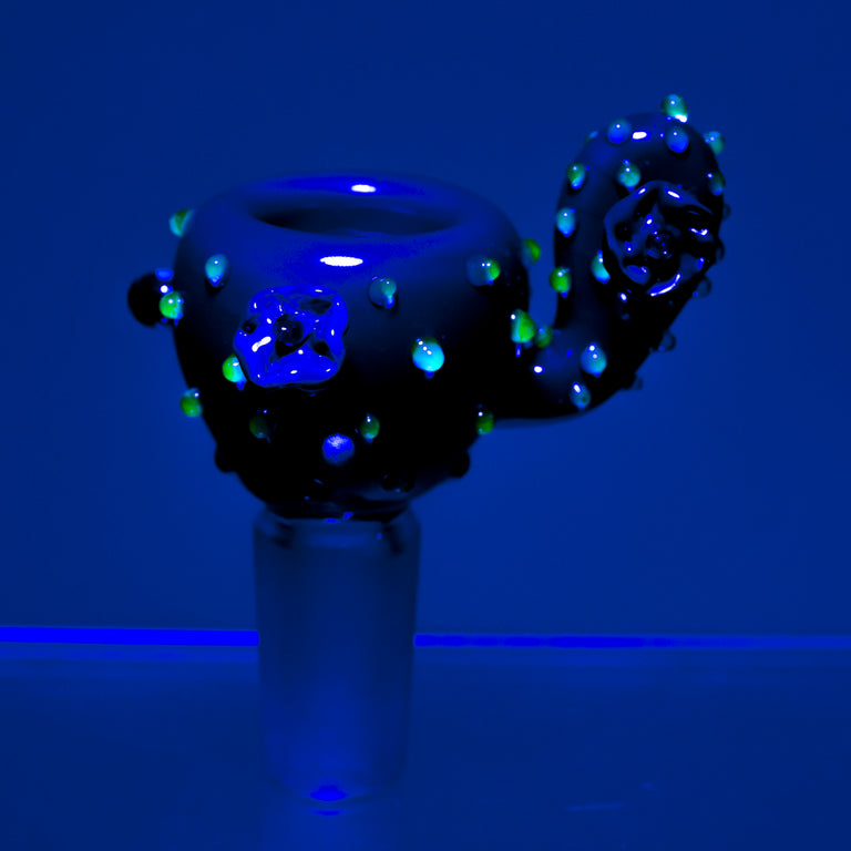 Empire Glassworks Bowl Pieces | Cactus