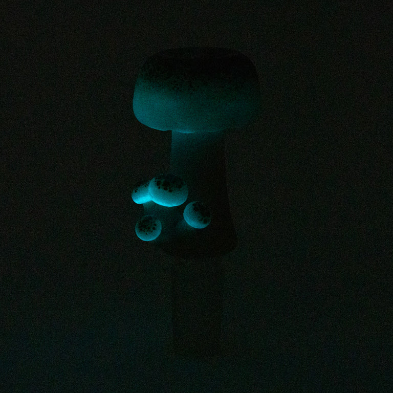 Empire Glassworks Bowl Pieces | Mushroom