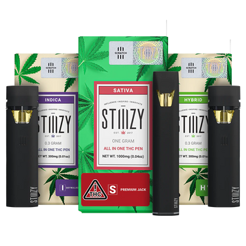 STIIIZY All-in-One THC Pens – Premium Flavor, Potent Effects
