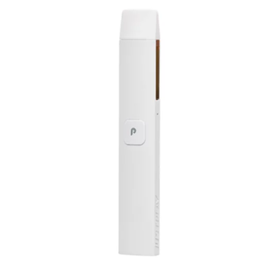 plugplay 2 Gram Disposable