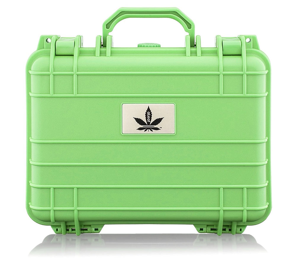 aLeaf Protective Hard Case - Large