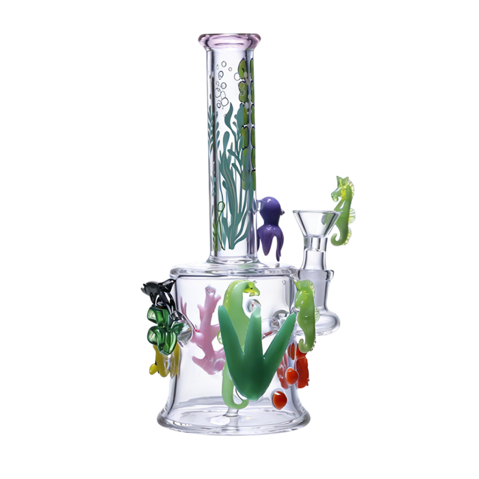 CHEECH - CORAL CHAOS WITH SEAHORSE SWAGGER | CH397