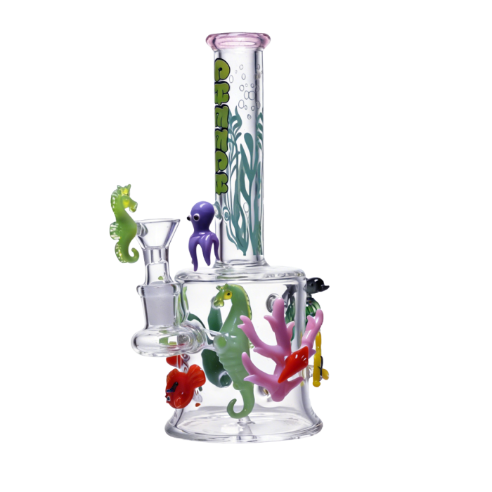 CHEECH - CORAL CHAOS WITH SEAHORSE SWAGGER | CH397