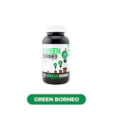 BumbleBee - 100% Natural 500MG Each |  300 caps / Bottle | Bottle
