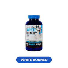 BumbleBee - 100% Natural 500MG Each |  300 caps / Bottle | Bottle