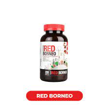 BumbleBee - 100% Natural 500MG Each |  300 caps / Bottle | Bottle