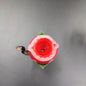 Empire Glassworks Bowl Pieces | Piranha